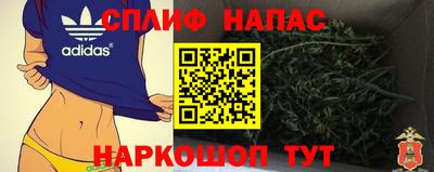 Альфа ПВП Новодвинск