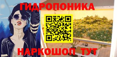 эйфоретик Новозыбков