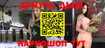 Альфа ПВП Новодвинск